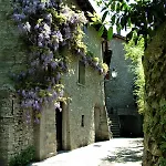 La Torre Del Vicario